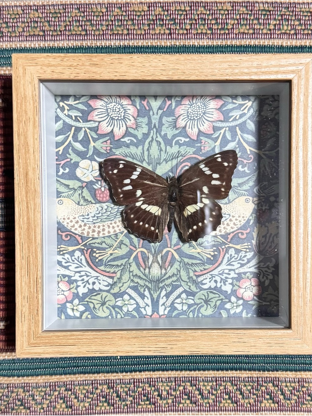 Framed Brown Butterfly Wall Art - Home Accents